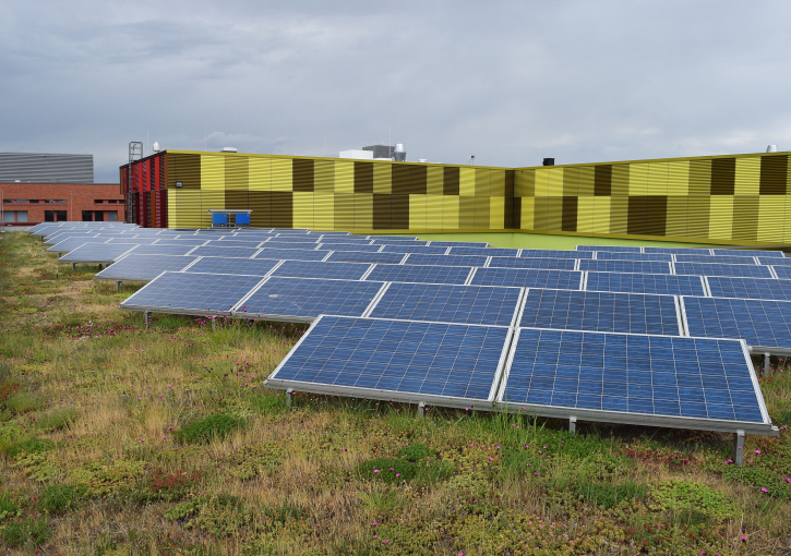 Das Bild zeigt Solarzellen auf einem Dach, welches zusätzlich begrünt ist.