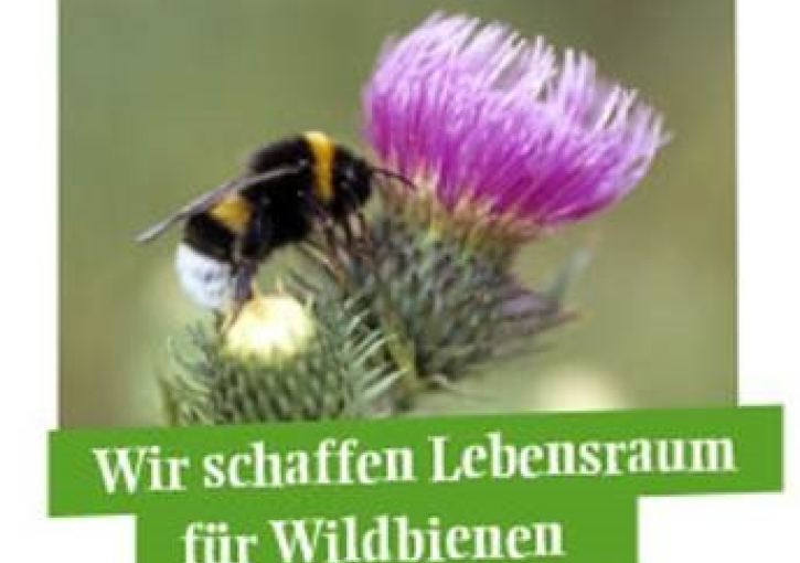 Wildbienen Stiftung Biene